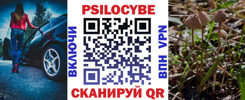 Псилоцибиновые грибы прущие грибы  закладки  Богданович 