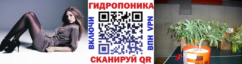 сколько стоит  Богданович  Бошки марихуана конопля 